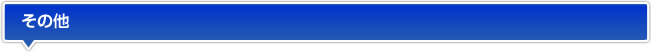その他